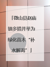 微山县赵庙镇多措并举为绿化苗木“补水解渴”